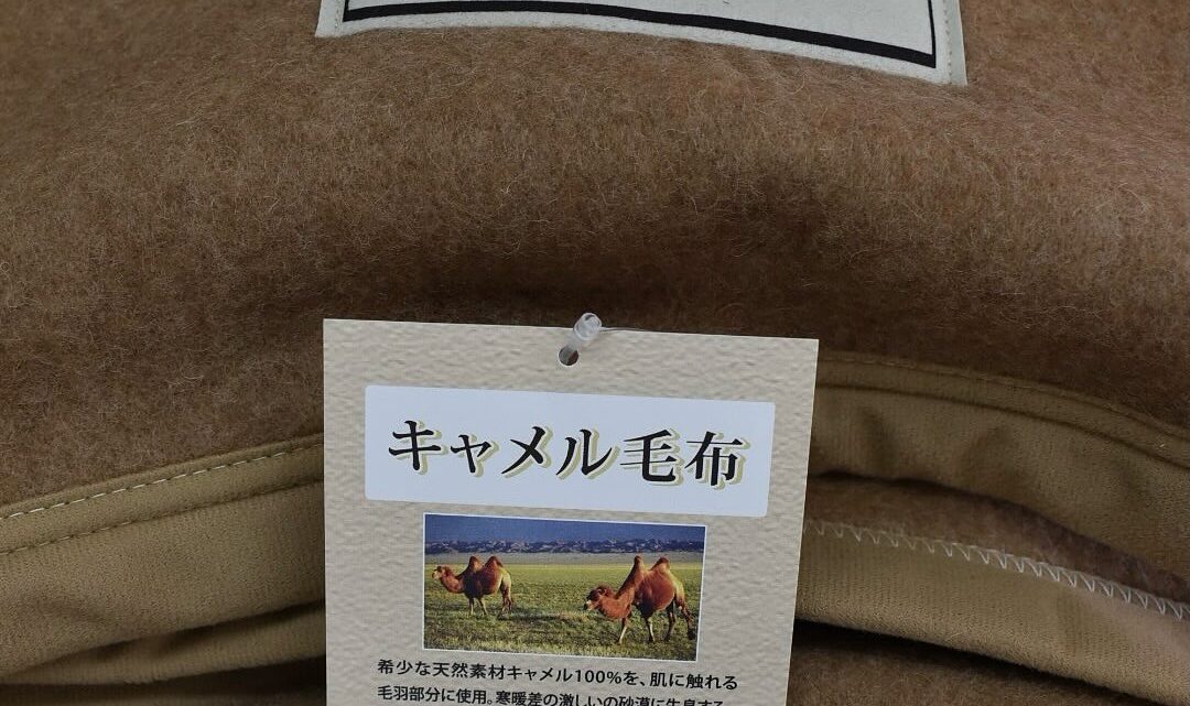 想像以上の快適さ!夏の夜にこそキャメル毛布