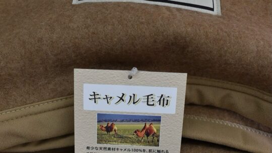 想像以上の快適さ！夏の夜にこそキャメル毛布